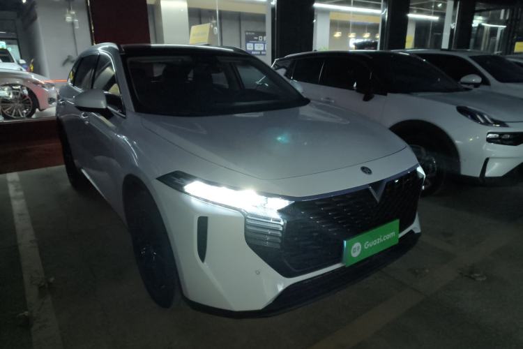 Used Venucia V 2021 260T Tianwang Edition Front Right 45 Deg