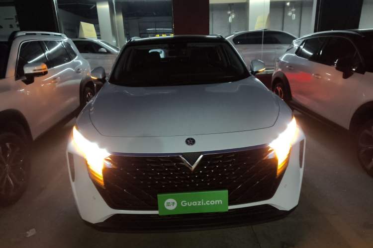 Used Venucia V 2021 260T Tianwang Edition Front
