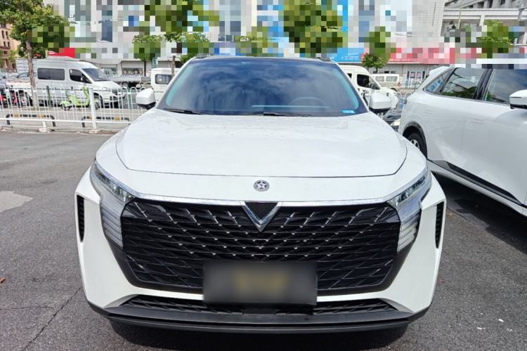 Used Venucia V 2021 260T Tianwang Edition Front