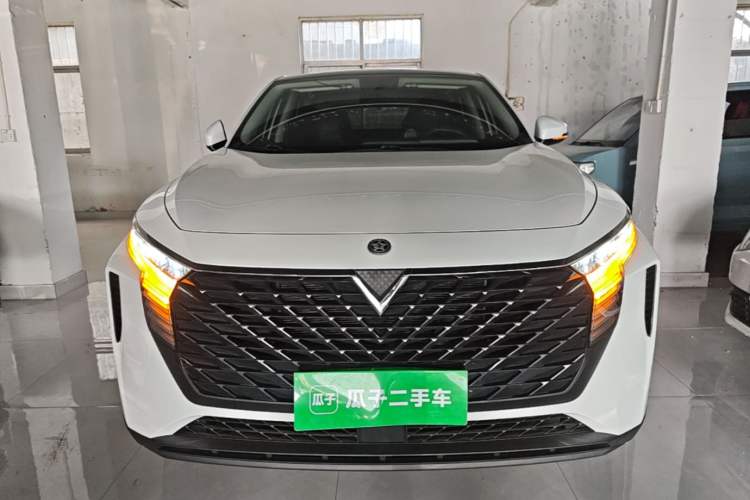 Used Venucia V 2021 260T Idol Edition Front