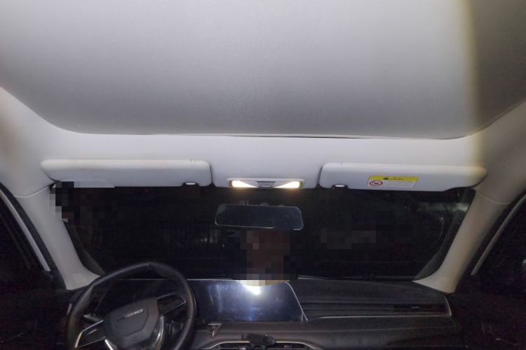 Used Venucia V 2021 260T Tianwang Edition Headliner