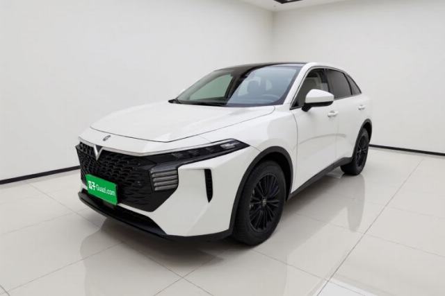 Used Venucia V 2021 260T Idol Edition