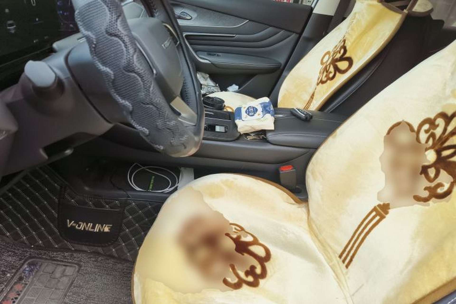 Used Venucia V 2021 260T Tianwang Edition Left Front Seat