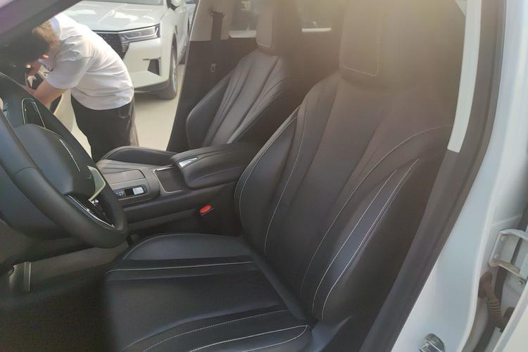 Used Venucia V 2021 260T Tianwang Edition Left Front Seat