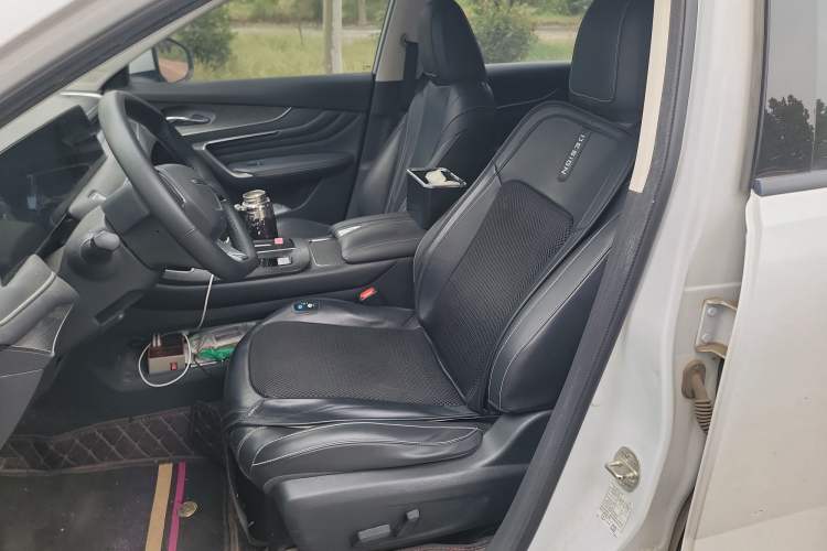 Used Venucia V 2021 260T Tianwang Edition Left Front Seat