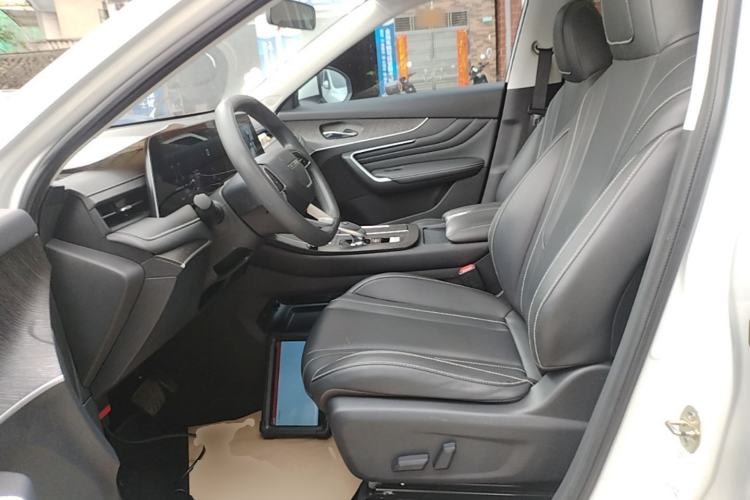 Used Venucia V 2021 260T Top-Tier Version Left Front Seat