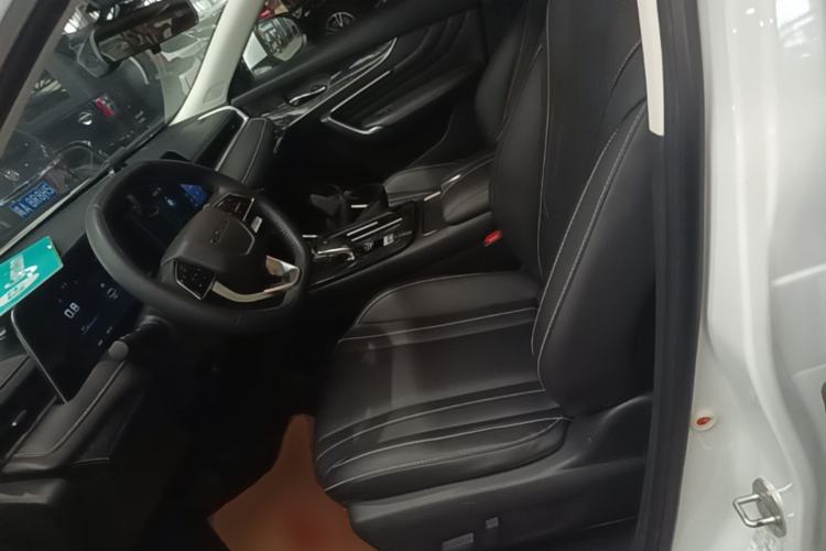 Used Venucia V 2021 260T Tianwang Edition Left Front Seat