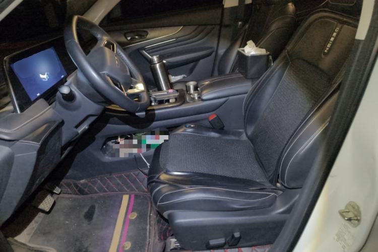 Used Venucia V 2021 260T Tianwang Edition Left Front Seat