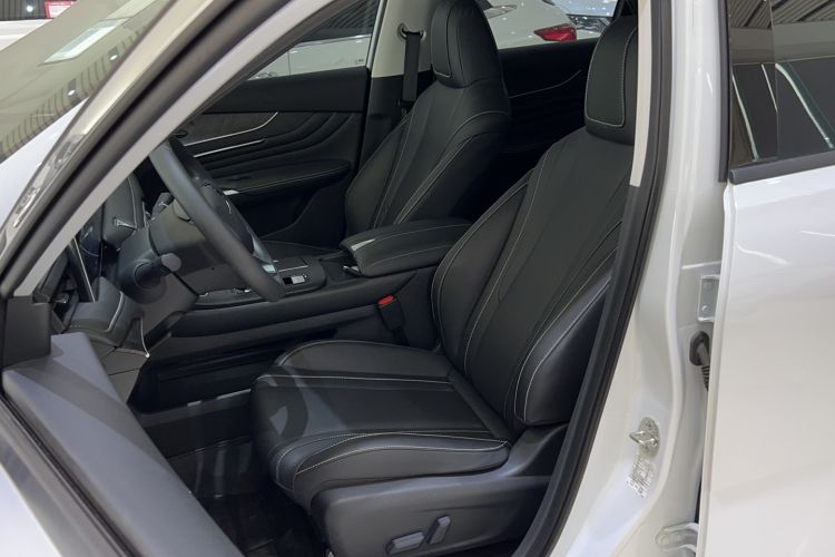 Used Venucia V 2021 260T Top-Tier Version Left Front Seat