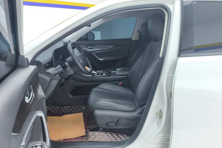 Used Venucia V 2021 260T Tianwang Edition Left Front Seat