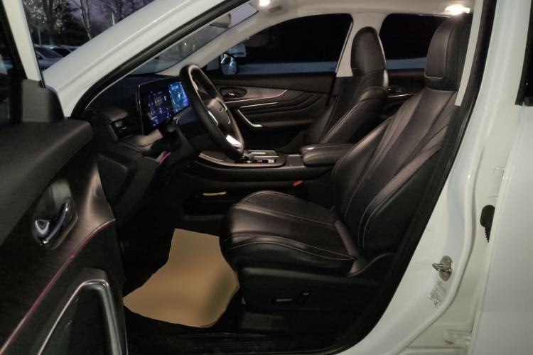 Used Venucia V 2021 260T Tianwang Edition Left Front Seat