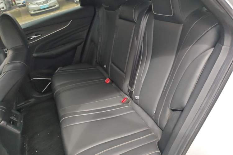 Used Venucia V 2021 260T Tianwang Edition Left Rear Seat