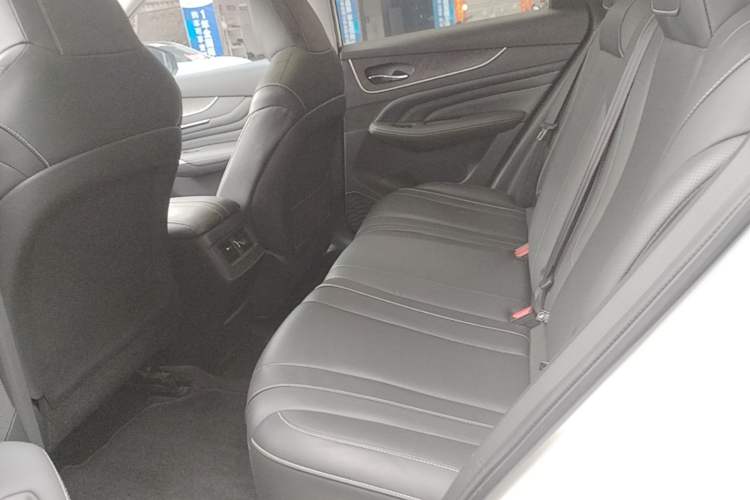 Used Venucia V 2021 260T Top-Tier Version Left Rear Seat