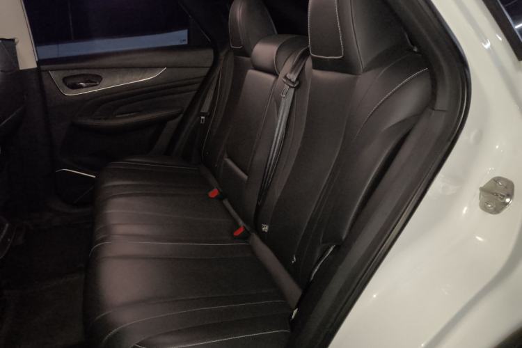 Used Venucia V 2021 260T Tianwang Edition Left Rear Seat