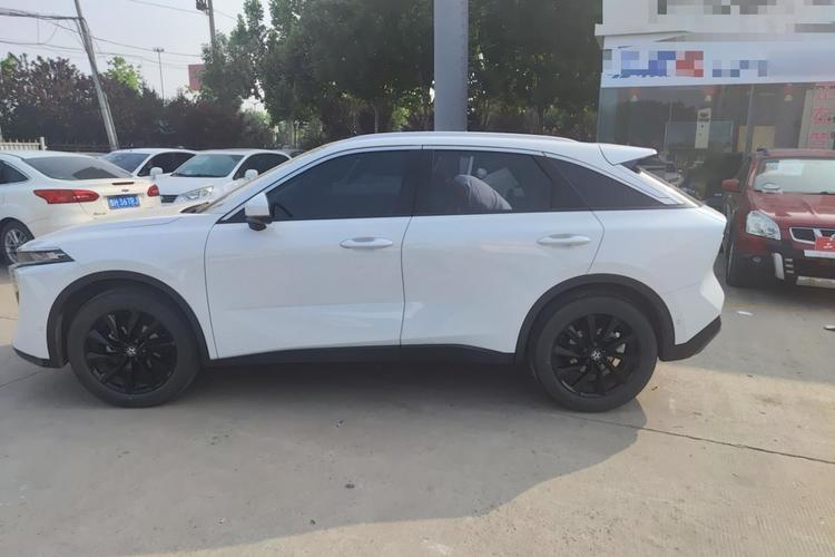 Used Venucia V 2021 260T Tianwang Edition Left Side