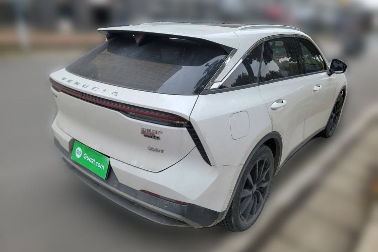 Used Venucia V 2021 260T Tianwang Edition Rear Right 45 Deg