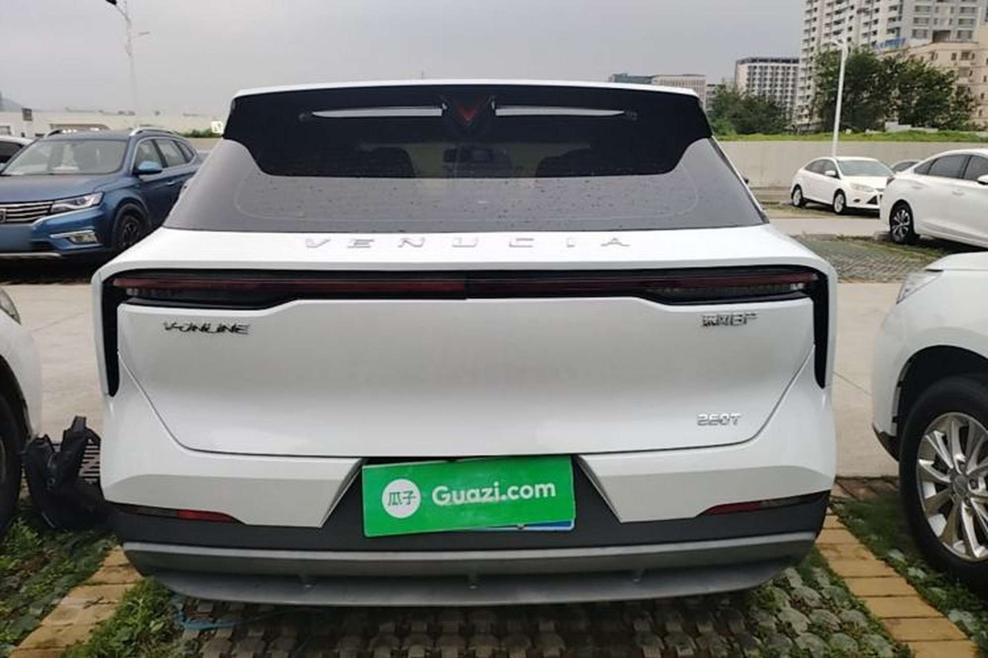 Used Venucia V 2021 260T Idol Edition Rear