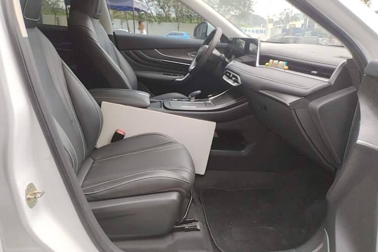 Used Venucia V 2021 260T Top-Tier Version Right Front Seat