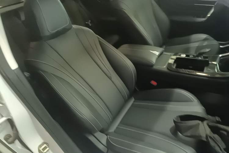 Used Venucia V 2021 260T Tianwang Edition Right Front Seat