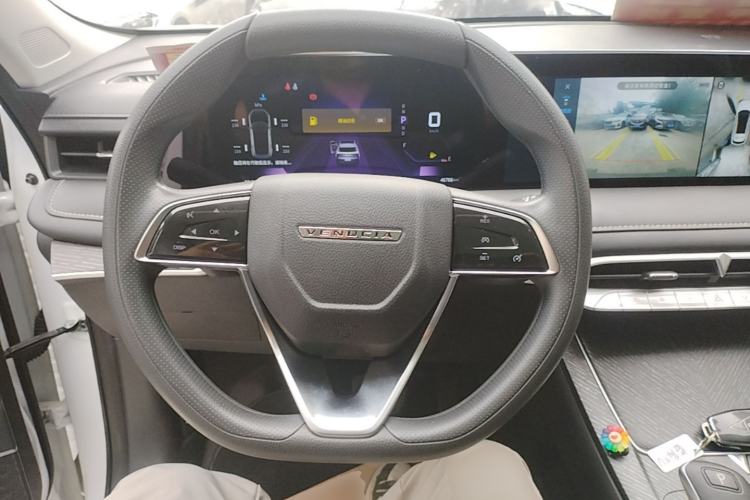 Used Venucia V 2021 260T Top-Tier Version Steering Wheel