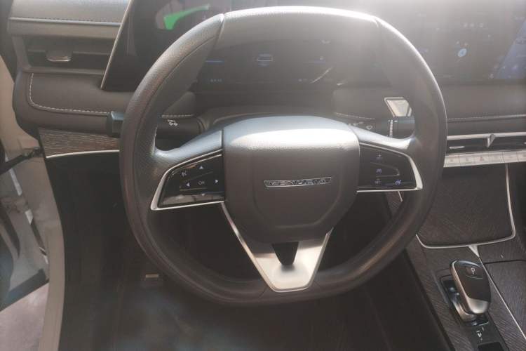 Used Venucia V 2021 260T Idol Edition Steering Wheel