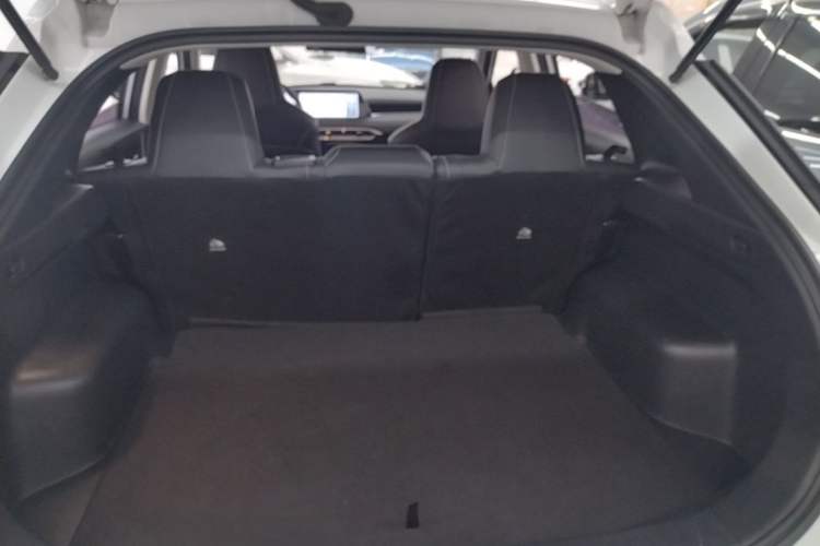 Used Venucia V 2021 260T Idol Edition Trunk