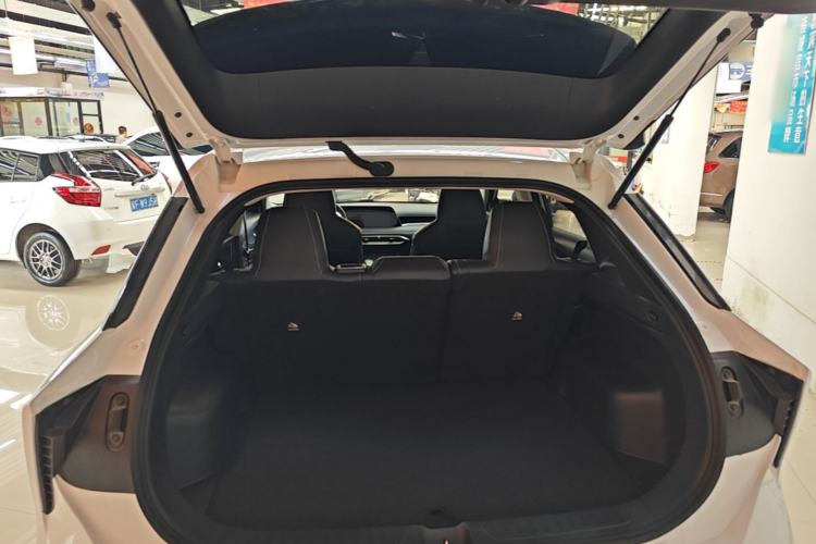 Used Venucia V 2021 260T Idol Edition Trunk
