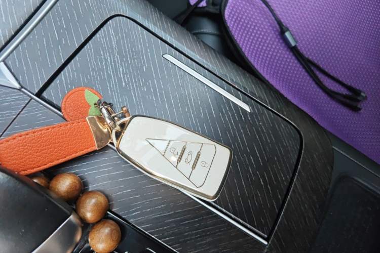 Used Venucia V 2021 260T Idol Edition Vehicle Key
