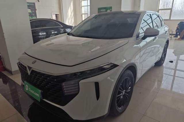 Used Venucia V 2021 260T Idol Edition