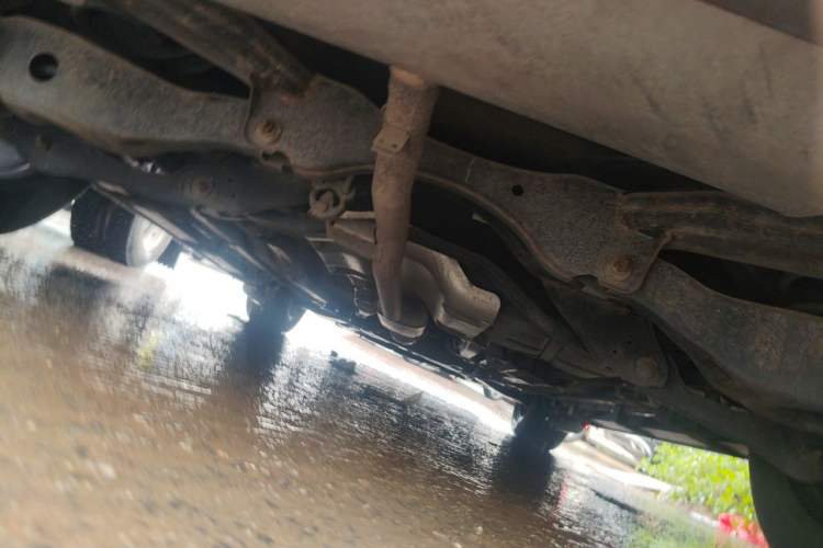 Used Venucia V 2022 260T Black Horse Edition · King Chassis Rear