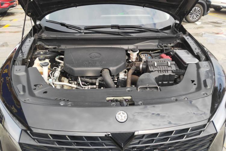 Used Venucia V 2022 260T Black Horse Edition · Idol Engine Bay