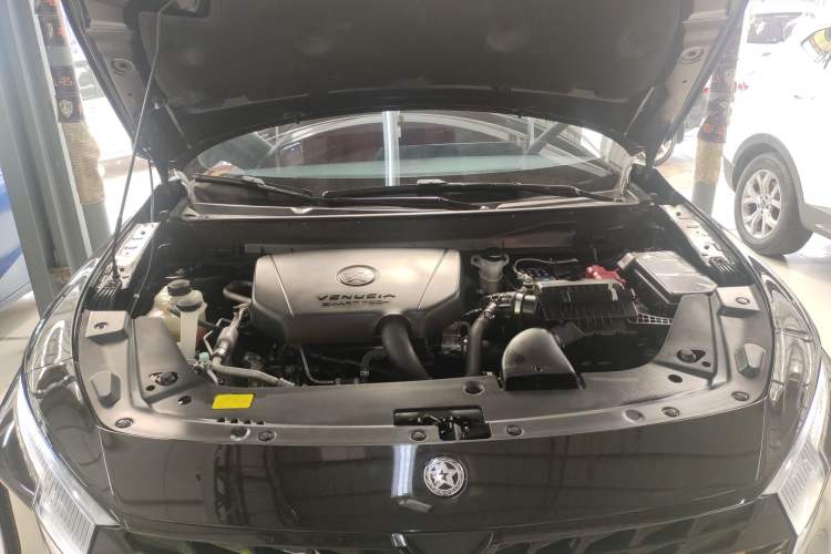 Used Venucia V 2022 260T Black Horse Edition · Idol Engine Bay