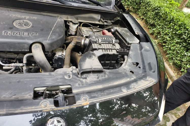 Used Venucia V 2022 260T Black Horse Edition · Idol Engine Bay Left