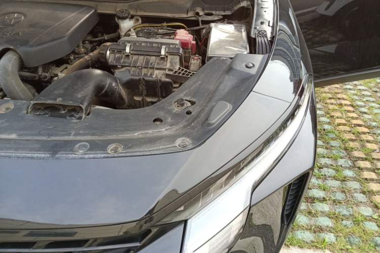 Used Venucia V 2022 260T Black Horse Edition · Idol Engine Bay Left