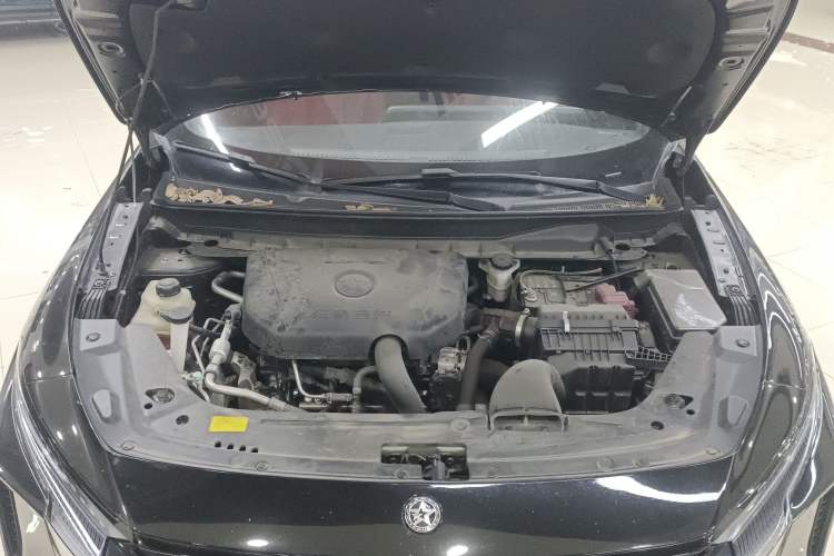 Used Venucia V 2022 260T Black Horse Edition · Idol Engine Bay