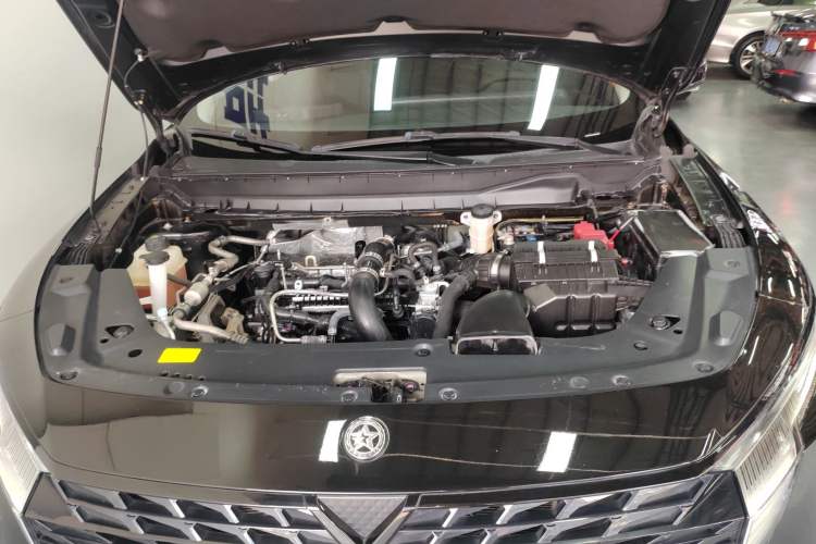Used Venucia V 2022 260T Black Horse Edition · Idol Engine Bay