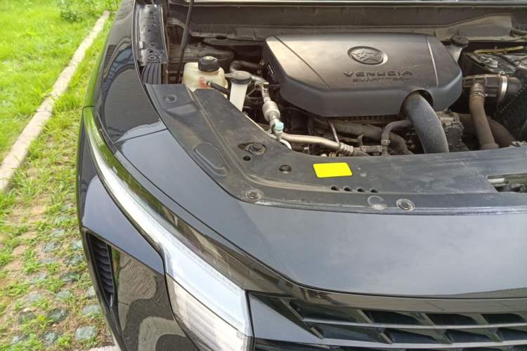 Used Venucia V 2022 260T Black Horse Edition · Idol Engine Bay Right