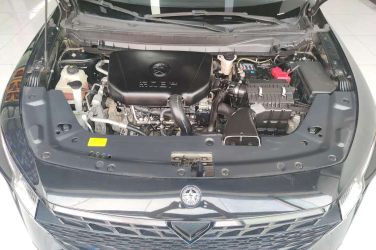 Used Venucia V 2022 260T Black Horse Edition · Idol Engine Bay