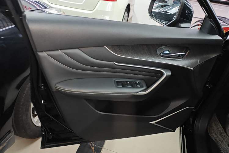 Used Venucia V 2022 260T Black Horse Edition · Idol Left Front Door Interior