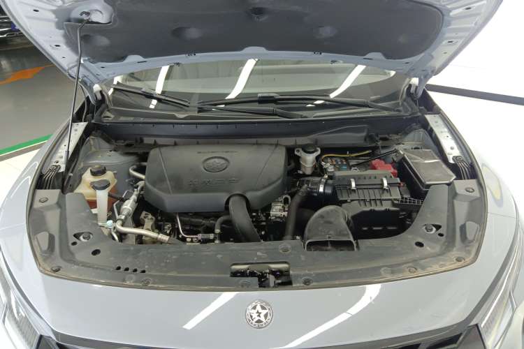 Used Venucia V 2022 260T Black Horse Edition · Idol Engine Bay