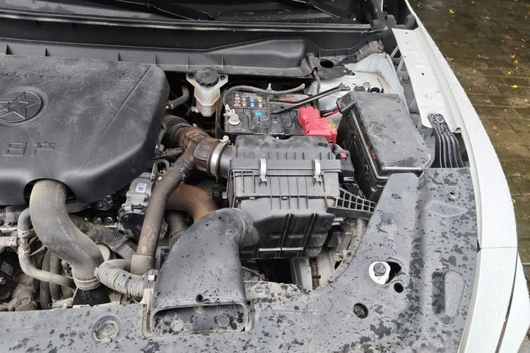 Used Venucia V 2022 260T Black Horse Edition · Idol Engine Bay Left