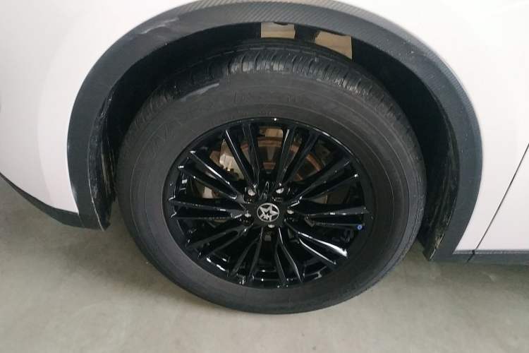 Used Venucia V 2022 260T Black Horse Edition · Idol Left Front Wheel Hub