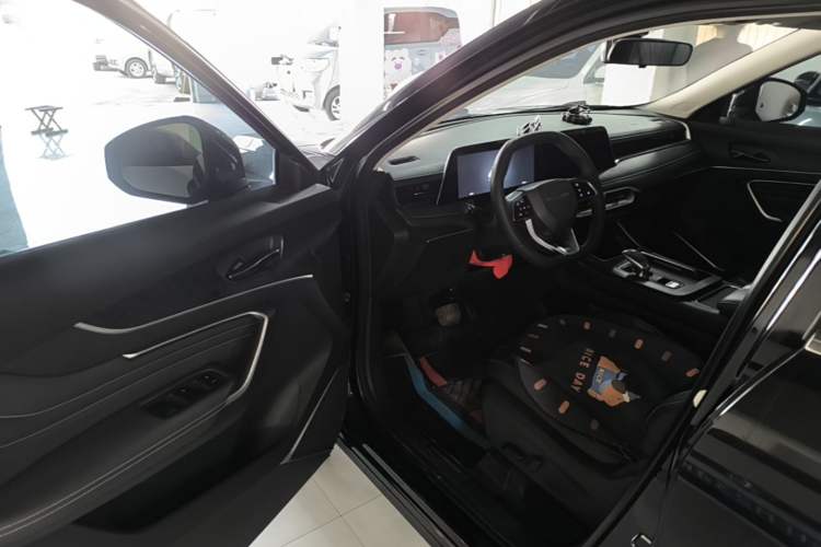 Used Venucia V 2023 260T Black Horse Edition Pro Driver Seat