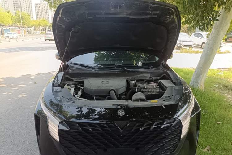 Used Venucia V 2023 260T Black Horse Edition Pro Engine Bay