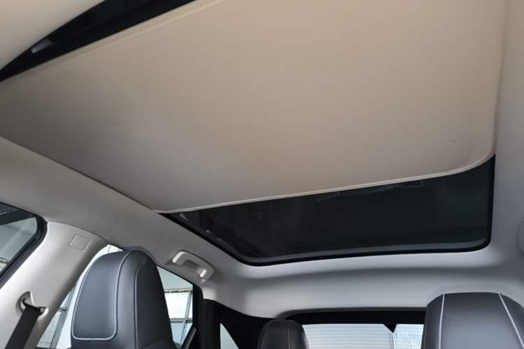 Used Venucia V 2023 260T Black Horse Edition Pro Headliner