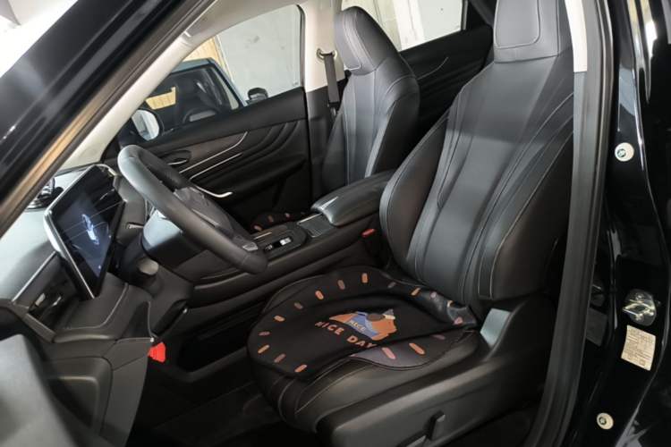 Used Venucia V 2023 260T Black Horse Edition Pro Left Front Seat