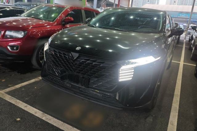 Used Venucia V 2023 260T Idol Edition Pro