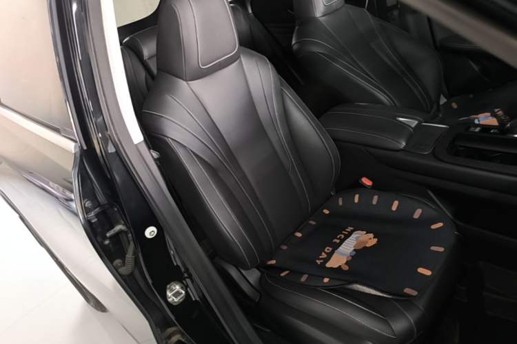 Used Venucia V 2023 260T Black Horse Edition Pro Right Front Seat