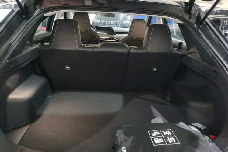 Used Venucia V 2023 260T Black Horse Edition Pro Trunk