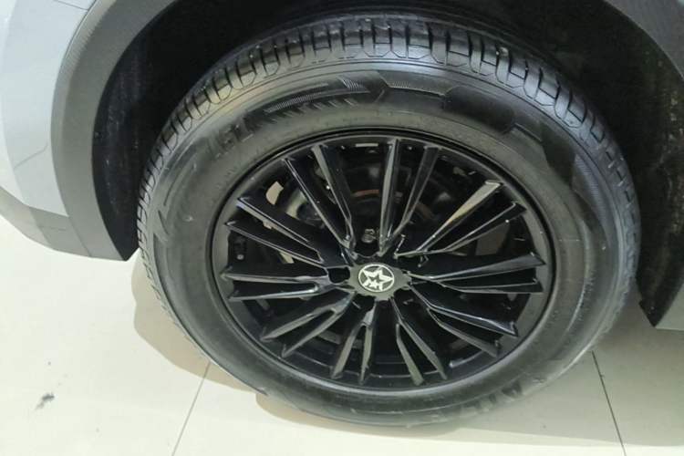 Used Venucia V 2023 260T Idol Edition Pro Exterior 5